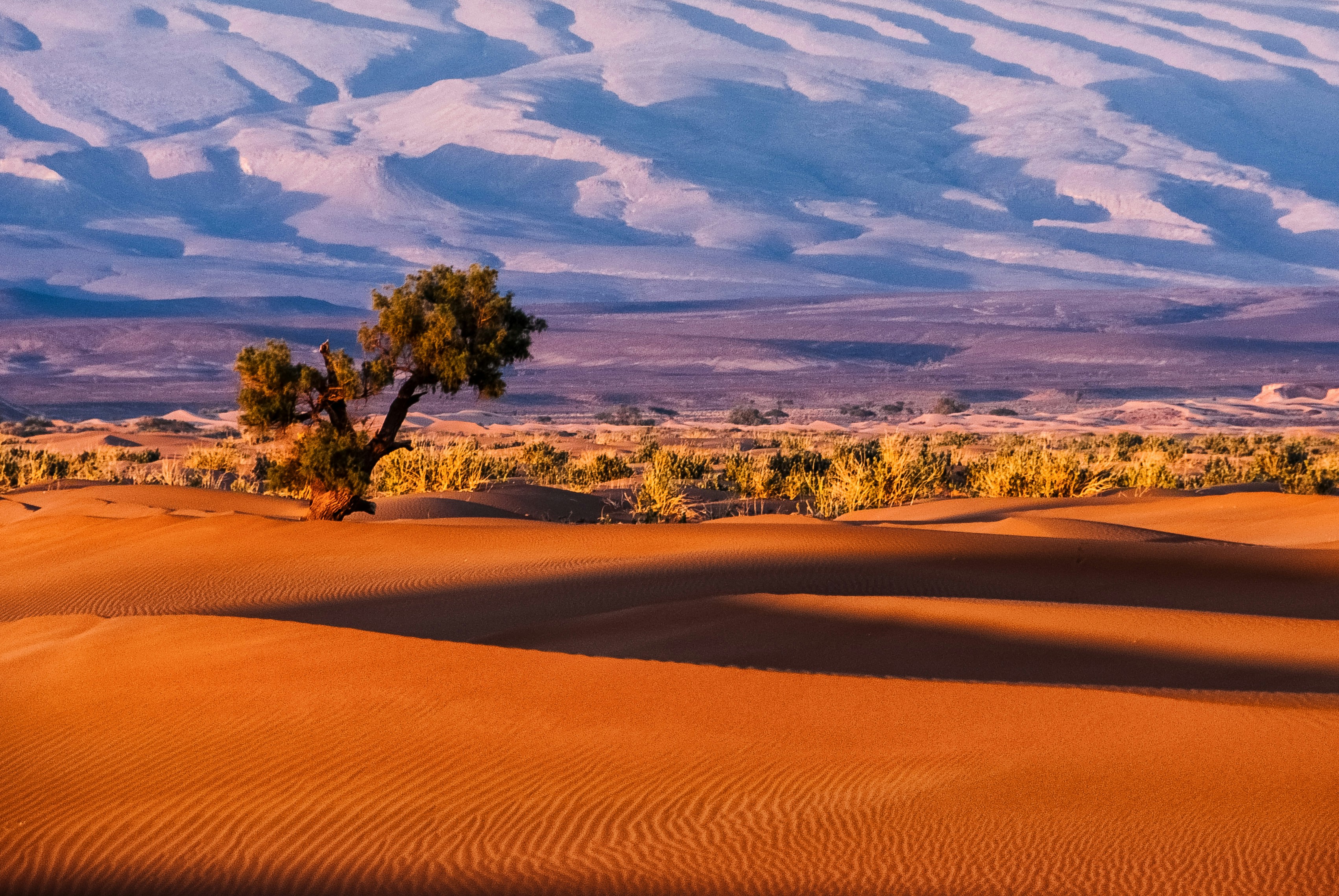100台限定品★外幕2枚　Field SAHARA×Nature Arts The Diverse Landscapes of Morocco – From Sahara Desert to Atlantic